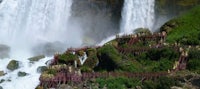 a waterfall with a wooden walkway leading up to it